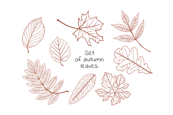 Autumn Falling Leaves: A Designer’s Review