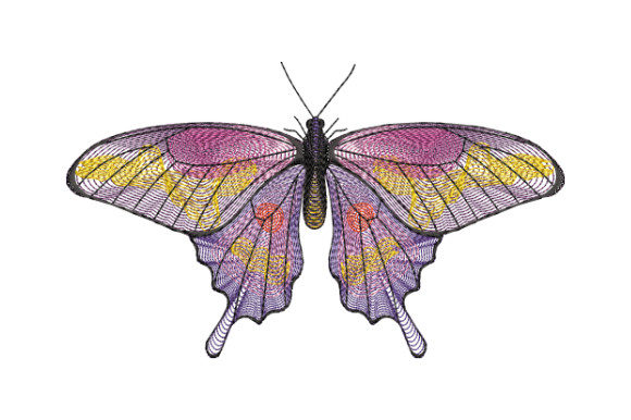 Purple Butterfly with Yellow Spots: A Seller’s Review