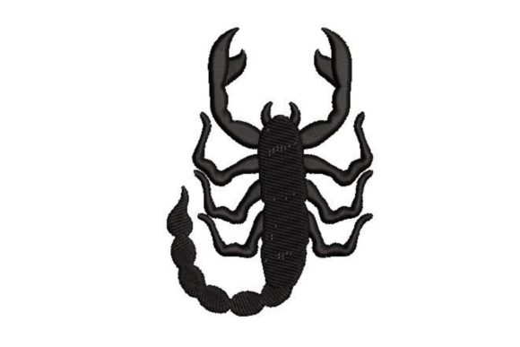 Scorpio Zodiac Sign: A Designer’s Holiday Review